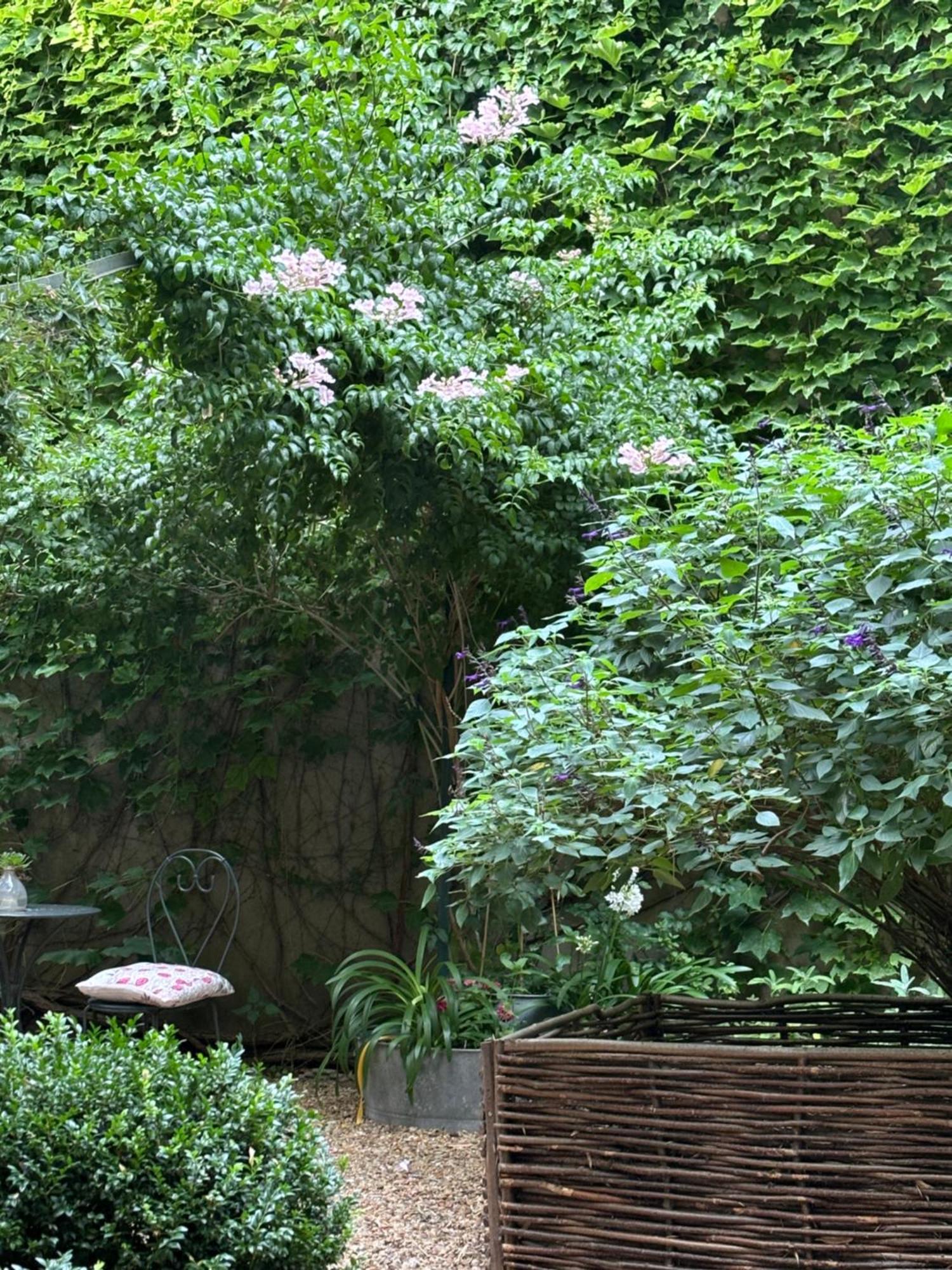 Le Logis Blanc Bed&Breakfast Coursan Exterior photo